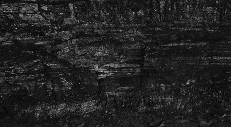Miles Coolidge, Coal Seam, Bergwerk Prosper-Haniel 1, 2013, Courtesy of the artist and ACME., Los Angeles.