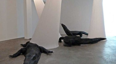 Marisol Rendón, “So Dragons Do Exist?” installation detail, courtesy Luis De Jesus Los Angeles