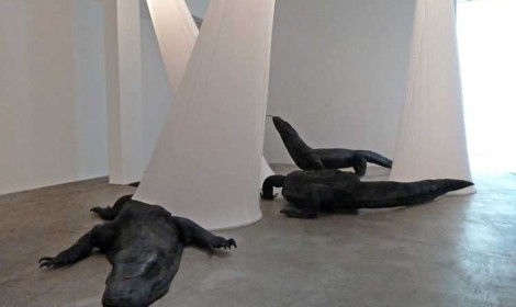 Marisol Rendón, “So Dragons Do Exist?” installation detail, courtesy Luis De Jesus Los Angeles