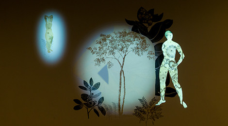 Stas Orlovski, Chimera (installation view), 2014. Photo courtesy of Don Milici ©.