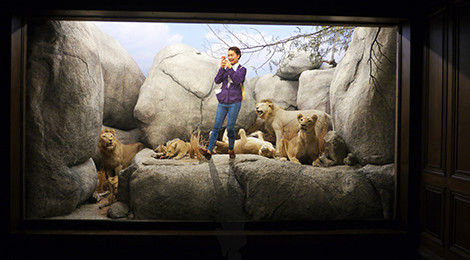 Clayton Campbell, Selfie Self Satisfaction Dance Before Dinner, 2015