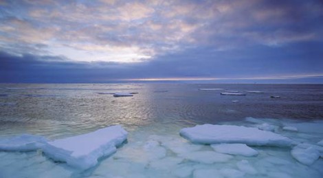 The Idea of North / The Disease of Humanity