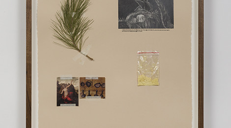 Candice Lin, Female Penis/Beast of Burden, 2015, courtesy of the artist and Ghebaly Gallery, Los Angeles, image credit: Jeff McLane.