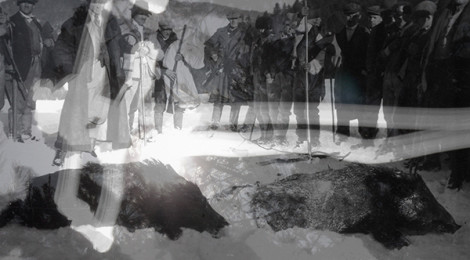 George Legrady, Day & Night Transylvania Hunt, 2015, courtesy of the artist and Edward Cella Art + Architecture