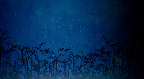 Susan Derges, Star Field – Bracken (2008), unique dye destruction print; Courtesy the Artist and Purdy Hicks Gallery, London