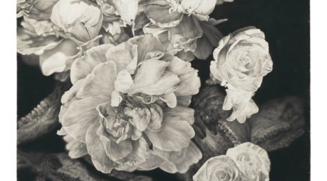 Joseph Stashkevetch, White Flowers & Bones, 2015, ©Joseph Stashkevetch, courtesy of the artist and Von Lintel Gallery, Los Angeles.