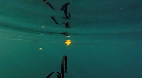 Farrah Karapetian, Moving Relief, Pacific, 2016