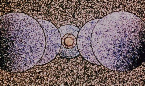 Jordan Belson, Mandala, 1953