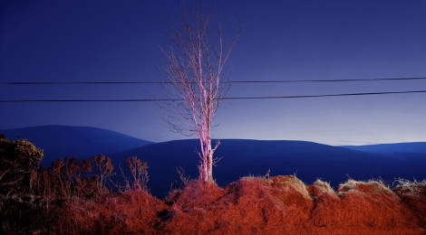 A country road. A tree. Evening. Somewhere between Tonygarrow and Cloon Wood, below Prince William’s Seat, Glencree, Co. Wicklow, 2007, Courtesy the artist and Lisson Gallery, London, ©Gerard Byrne