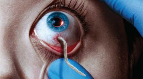 Eye-catching: The Strain