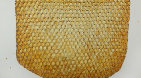 Kiel Johnson, Comb Sweet Comb, 2014