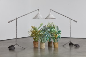 Evan Holloway, Plants and Lamps (2015), courtesy of the artist and David Kordansky.
