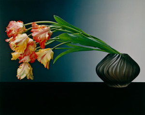 Parrot Tulips (1988) dye imbibition print; courtesy LACMA & J. Paul Getty Trust