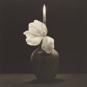 Flower with Knife (1985), platinum print; courtesy LACMA & J. Paul Getty Trust