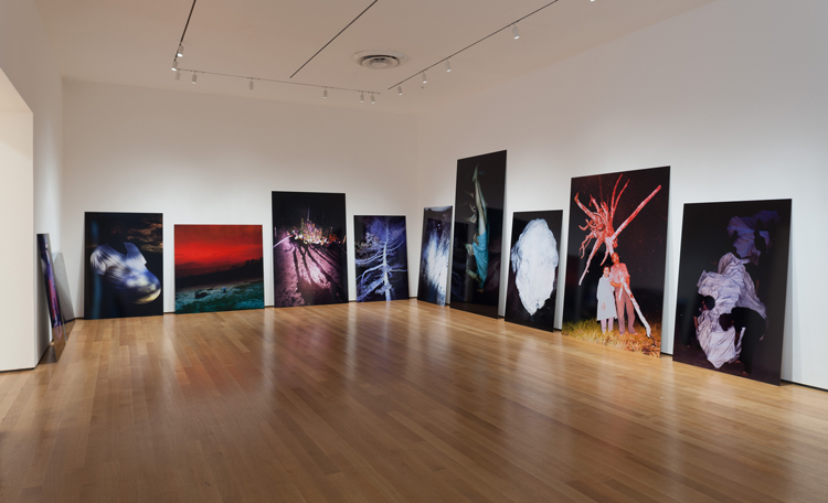 Installation view of Ocean of Images: New Photography 2015. The Museum of Modern Art, New York, November 7, 2015–March 20, 2016. © 2015 The Museum of Modern Art. Photo: Thomas Griesel 