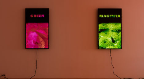 Diana Thater, "Colorvision" (2016). Installation view, 1301PE, Los Angeles. Courtesy the artist and 1301PE. Image by Fredrik Nilsen.