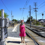 Diane Williams | My America