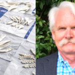 Lecture: Robert Voeks on the Sacred Leaves of Candomblé