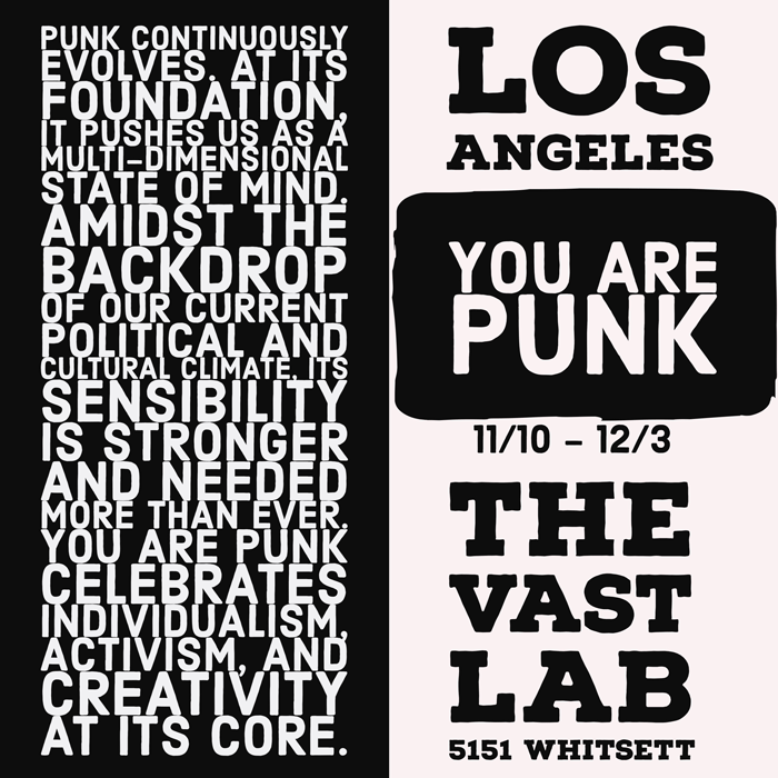 You are Punk - The Vast Lab opening with Soentjie