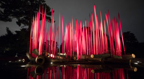 Dale Chihuly, Red Reeds on Logs, 2017