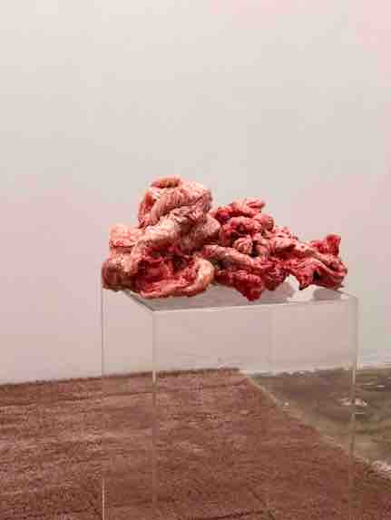 Lauren Davis 'Unnoosed and Straight' Opening Reception