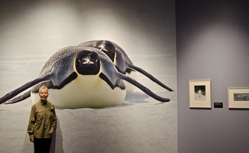 17 Expeditions: Antarctica