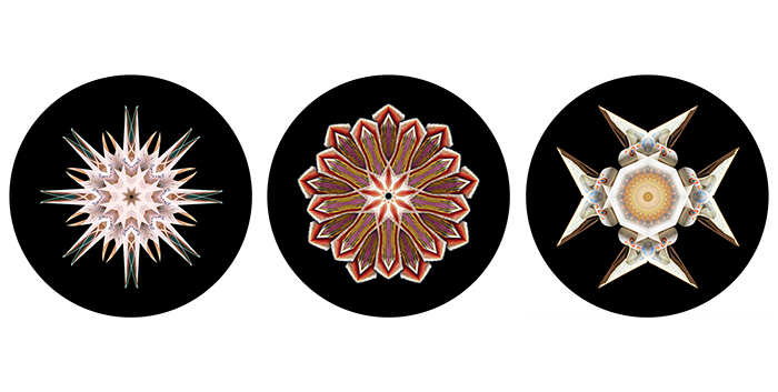 David Orr: ILLUMINED