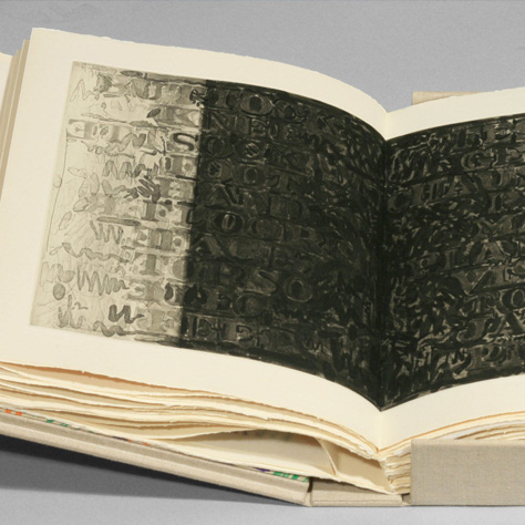 Jasper Johns | Unfolding Language Literary Series