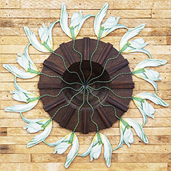 Alyson Souza - Life Among The Polygons