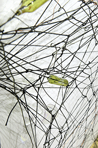 SEARCHING Kathryn Hart
