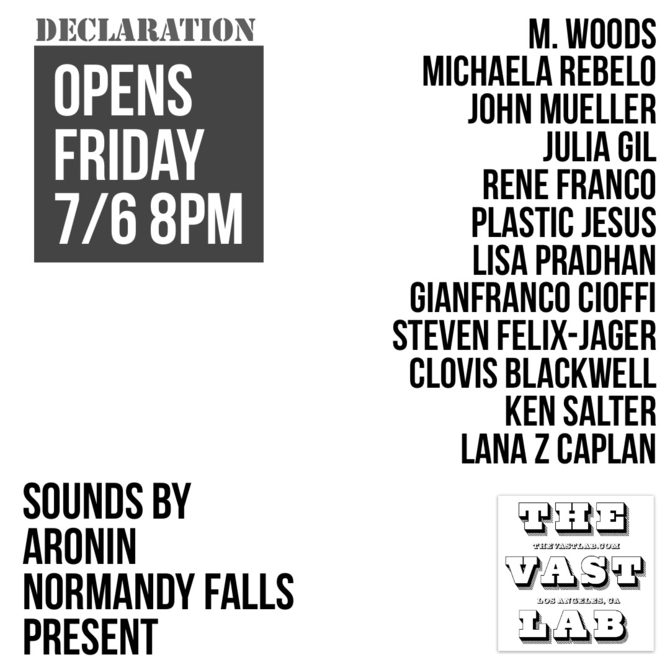 Declaration @ The Vast Lab