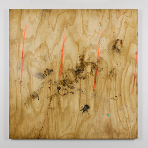 Anthony Adcock: Foundation