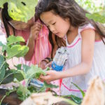 Family Garden Workshop
