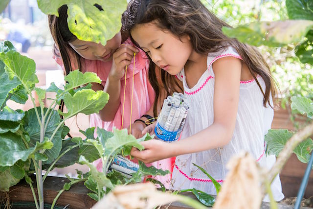 Family Garden Workshop