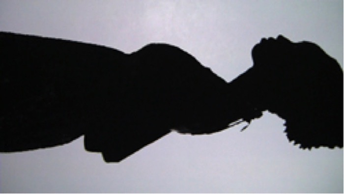 Deconstructing Portraiture: Embodied Landscapes