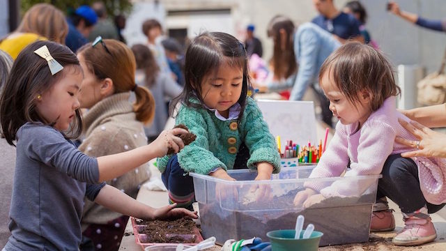 Family Garden Workshop