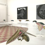 Artist Talk: Insect Mammal