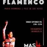 Mash Gallery: An Intimate Evening of Flamenco Dancing