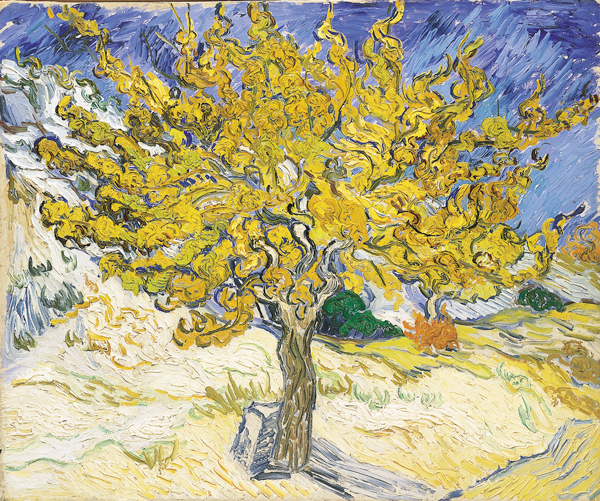 Van Gogh’s Mulberry Tree