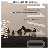 Catching a Wild Ass: A forum addressing creative action within academic models