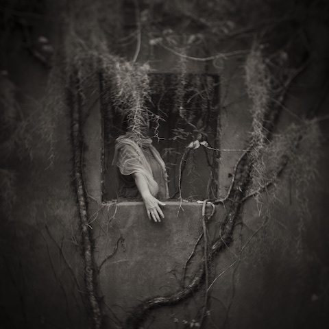 SAL TAYLOR KYDD • JANUS RISING