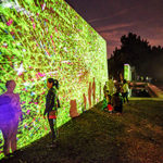 Digital Nature 2019