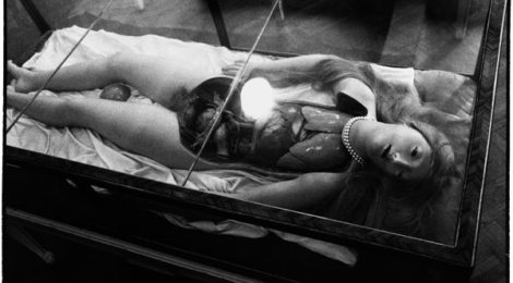Zoe Leonard, Wax Anatomical Model, full view from above, 1990, courtesy the artist, Galerie Gisela Capitain, Cologne, Hauser & Wirth, New York.