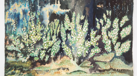 Sara Kathryn Arledge, Stellar Garden (1956), courtesy Armory Center for the Arts.