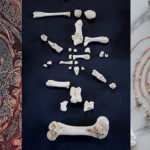 Meat and Mysticism