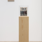 Art Buzz: Maryam Jafri + Brognon-Rollin
