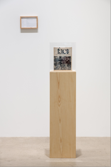 Art Buzz: Maryam Jafri + Brognon-Rollin