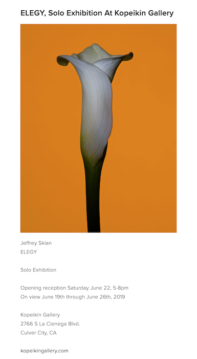 ELEGY, an exhibition by artist Jeffrey Sklan [Opening Reception]