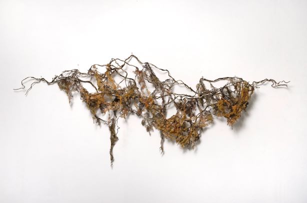 Intertwined; Sculptures by Nancy Veogeli-Curran