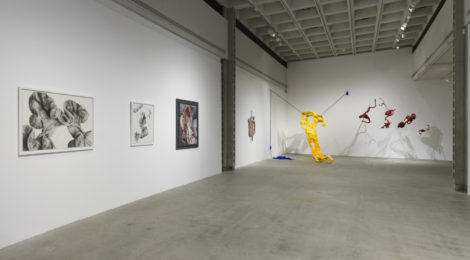 <ns>Gallery Rounds</ns> SouthGalleryCornerGalleryPhoto 470x260 <ns>Gallery Rounds</ns>